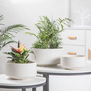 花盆大口径简约陶土盆陶瓷矮款 大号创意蝴蝶兰多肉绿萝盆栽