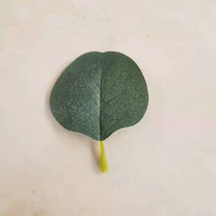 仿真叶子仿真桉树叶尤加利叶单片壁挂藤条叶子婚庆路引布置装饰