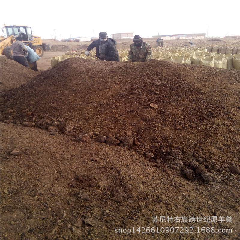 内蒙古厂家草原纯羊粪肥起圈肥发酵腐熟发酵羊粪纯有机肥整吨批发