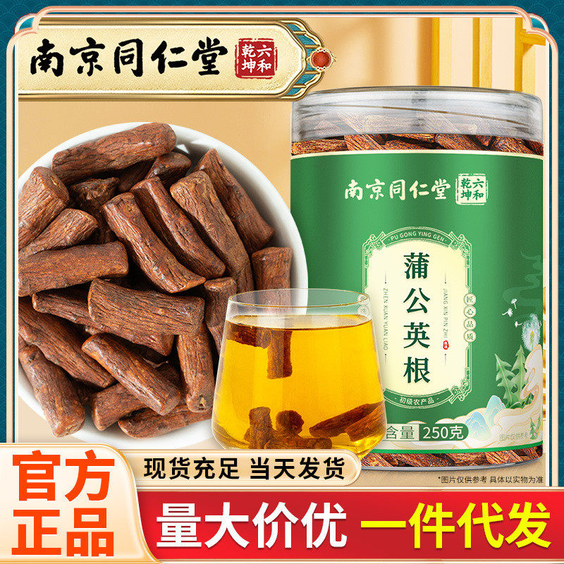 南京同仁堂 蒲公英根 长白山产地蒲公英根泡水代用茶代发 250g/罐