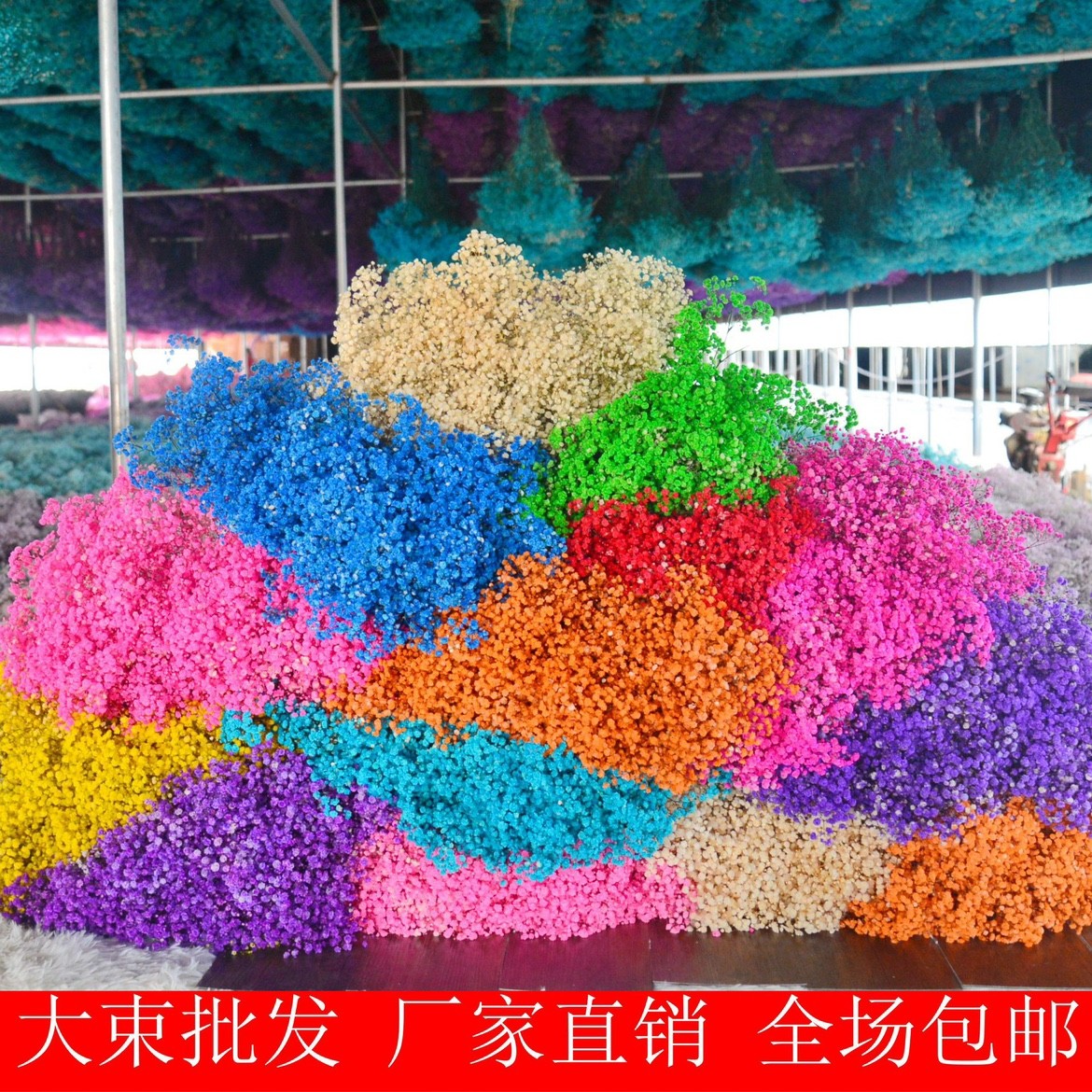 云南干花满天星干花永生满天星花束厂家直销