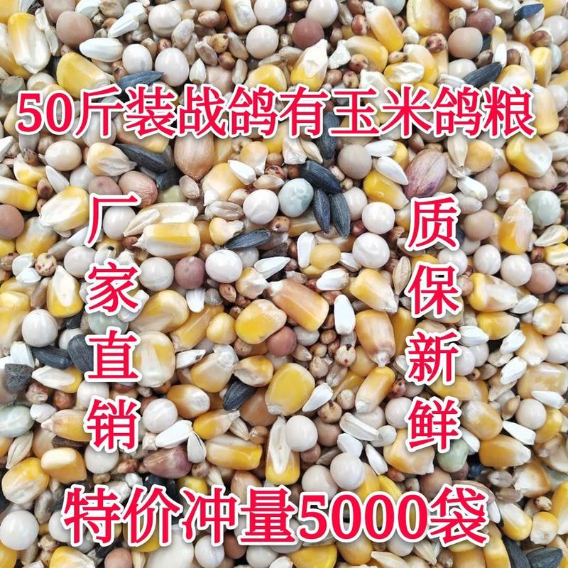 50斤有玉米战鸽粮鸽子鸟食赛信鸽观赏鸽肉鸽幼鸽成鸽粮19省包邮