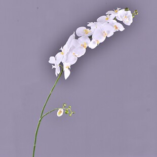 厂家批发特大仿真蝴蝶兰高品质手感仿真花客厅样板间软装花艺兰花