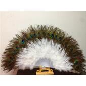 厂家供应高档孔雀工艺扇羽毛扇肚皮舞孔雀扇羽毛毛28片单面