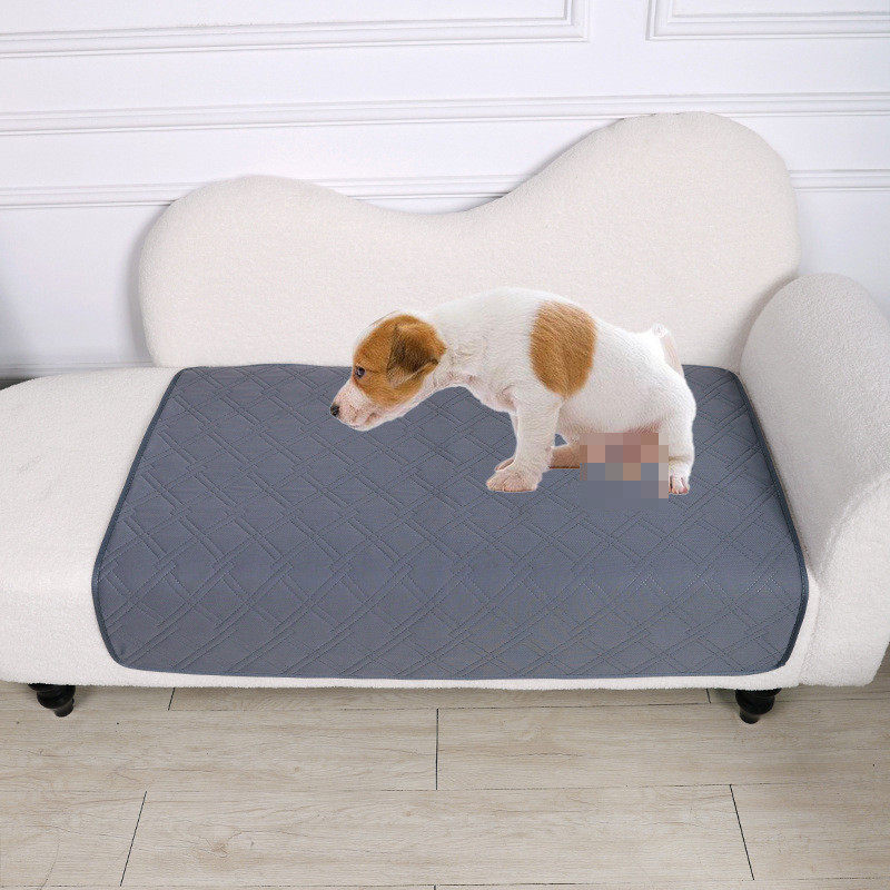 宠物尿垫可水洗易干尿垫隔尿垫吸水狗猫训练垫吸水垫狗狗瞬间