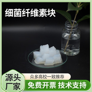 细菌纤维素BC 天然超细纳米纤维素块固含1% Bacterial cellulose