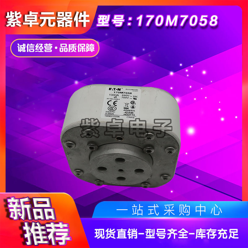 170M7058170M7059170M7060170M7061170M7062巴斯曼快速熔断器