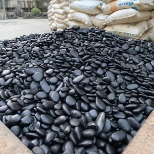 普光黑色鹅卵石园林景观设计雨花石水池垫底石子鹅卵石雨花石