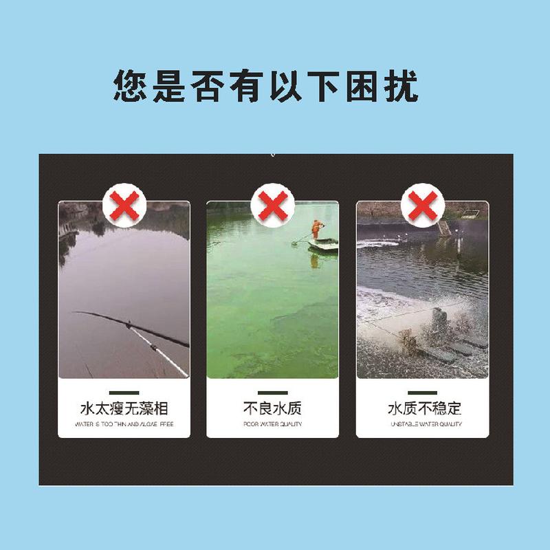 复合藻种水产种小球藻绿藻硅藻养殖鱼虾蟹塘水产复合藻种肥水培藻