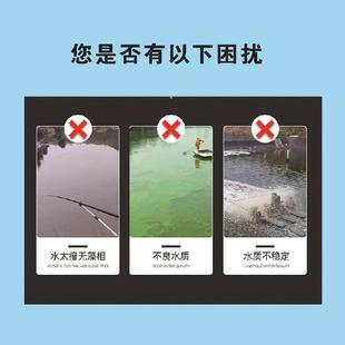 复合藻种水产种小球藻绿藻硅藻养殖鱼虾蟹塘水产复合藻种肥水培藻