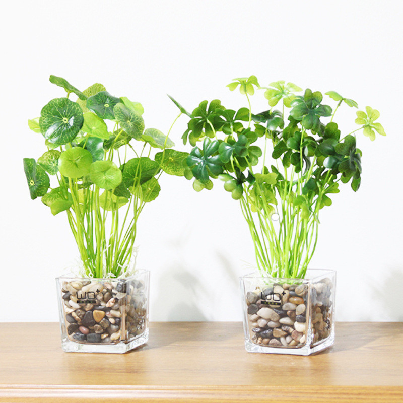 黑色抛光鹅卵石彩色鹅卵石五彩铺路工程雨花石鱼缸造景白石子