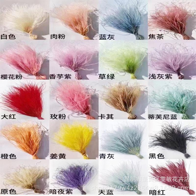【羽花】小花束配材柔丝浪漫草干花毛草材羽毛草仙气飘飘