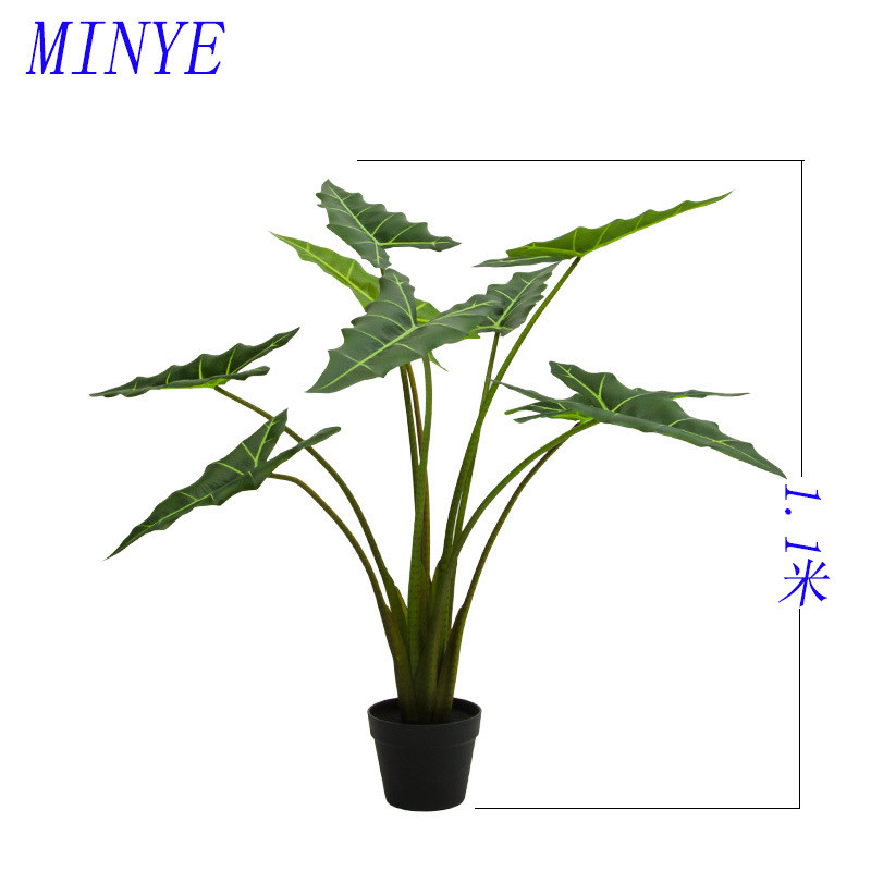 仿真植物萨利安海芋盆栽室内橱窗装饰软装造景设计仿生绿植