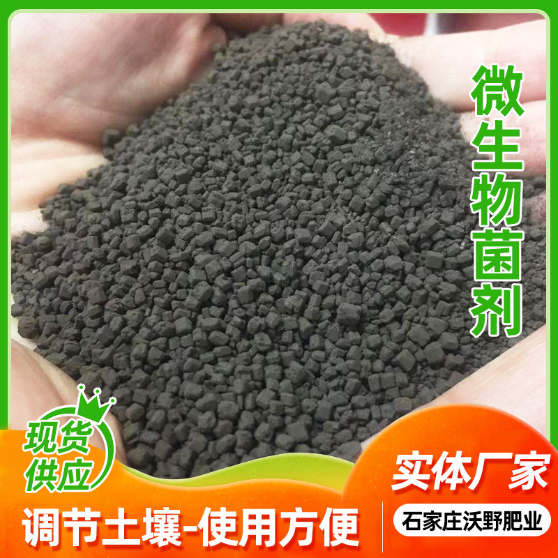 复合微生物有机肥定制蔬菜果树颗粒菌肥果多种活菌有机菌肥菌剂