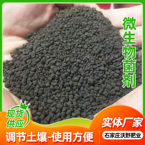 复合微生物菌肥定制蔬菜果树颗粒有机肥果多种菌肥菌有机活菌剂