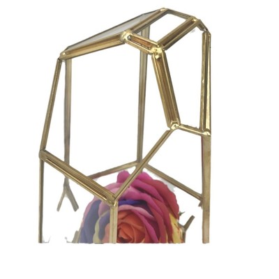 促销18035d包邮!工厂直销金色几何铜微景观多肉植物玻璃花房