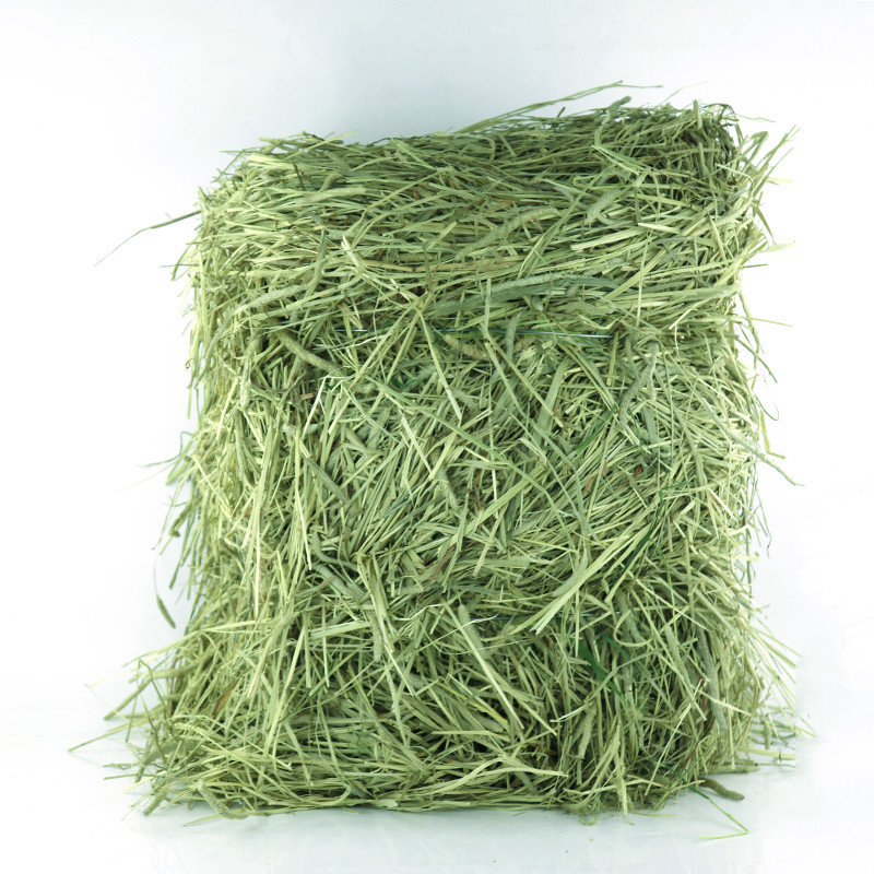 提摩西草干草兔草苜蓿草杆段提摩西草批发提摩西牧草捆猪草荷兰装