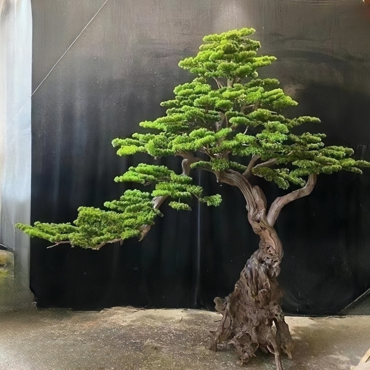 中式仿真迎客松简约风仿真松树高档会所展厅装饰软装仿真树摆件