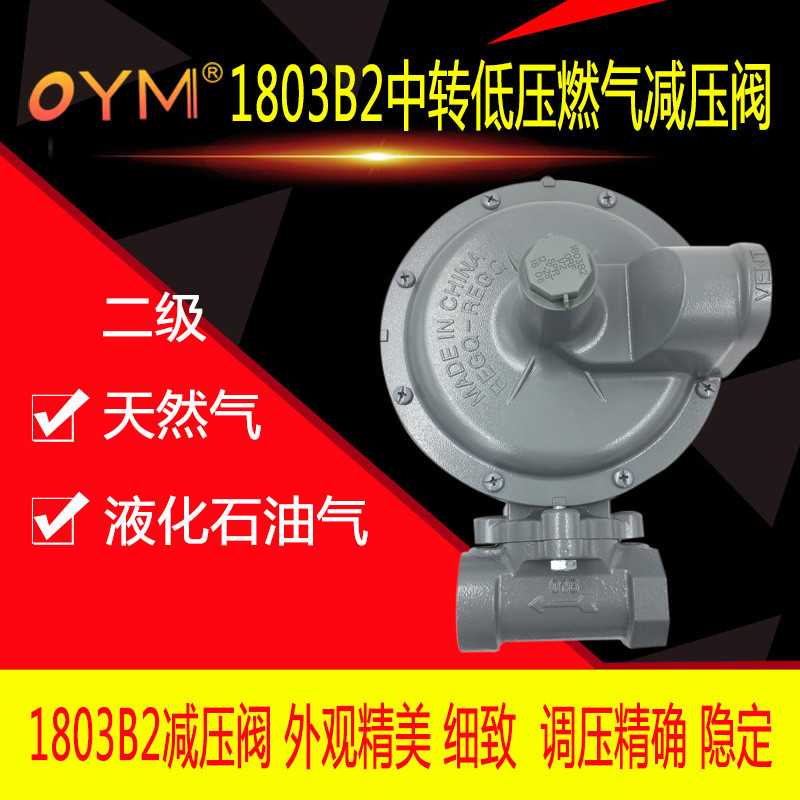 1803B2减压燃气阀 燃气天然气调压阀中转低压DN25/32气化器减压阀