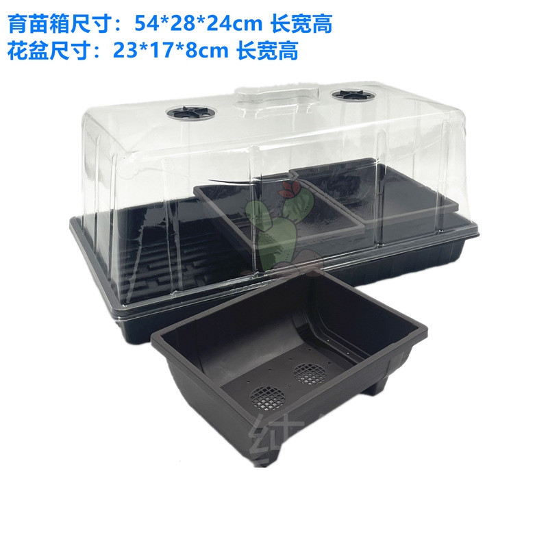 加高育苗盒多肉扦插出芽带盖子三件套闷养保温播种盘保湿育苗盘箱