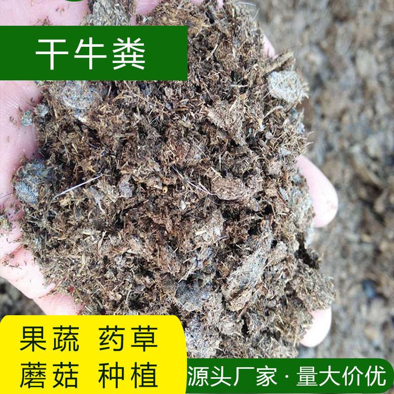 干牛粪专用肥晾晒牛粪牛屎发酵牛粪有机肥料风干牛粪葡萄块