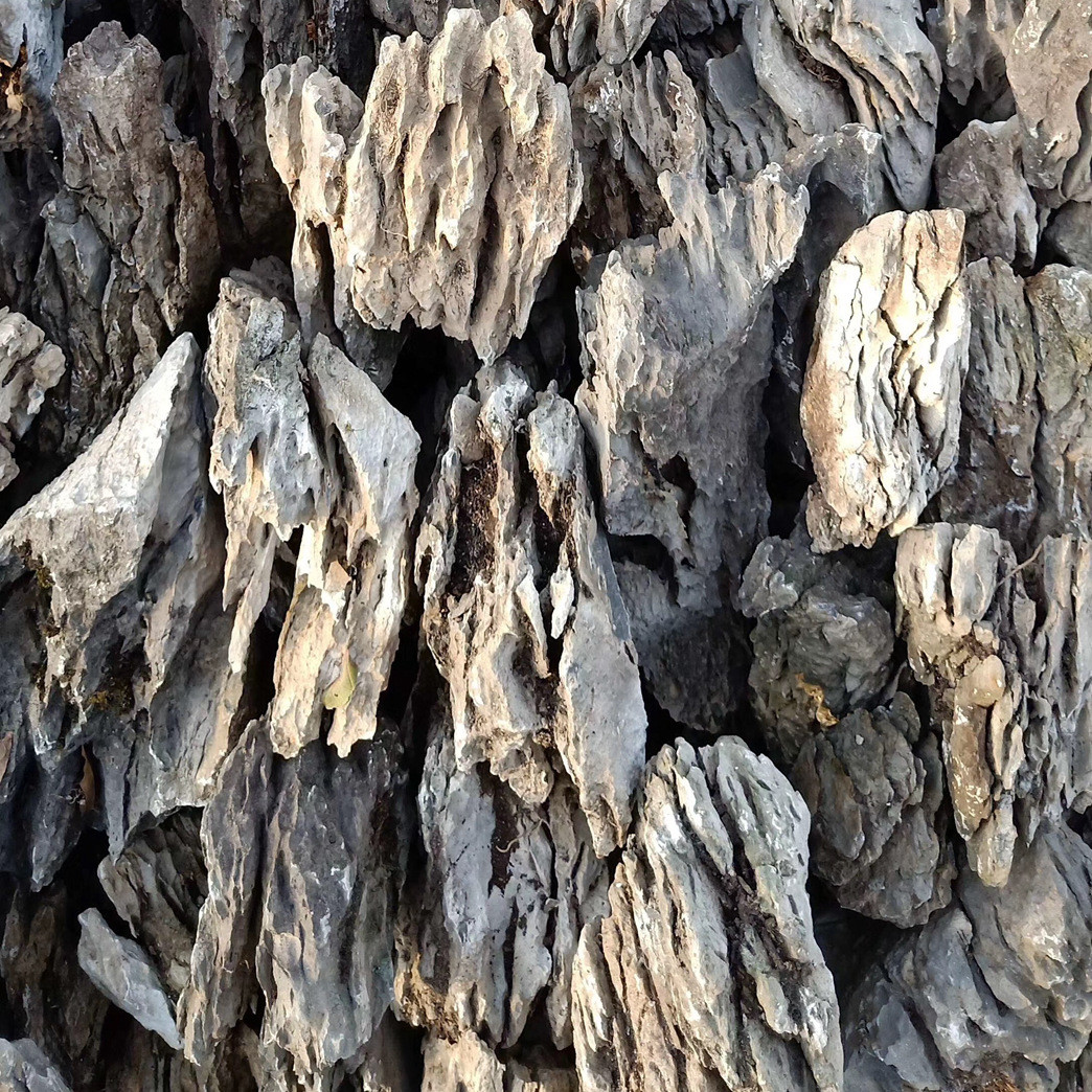 英德石酸洗青龙石水族鱼缸产地微景观造景园林假山石造景石