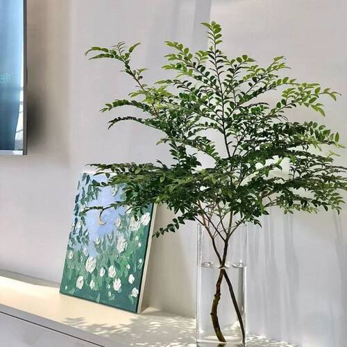 懒人花瓶美男树水培吊钟平替客厅卧室装饰绿植雪柳网红植物