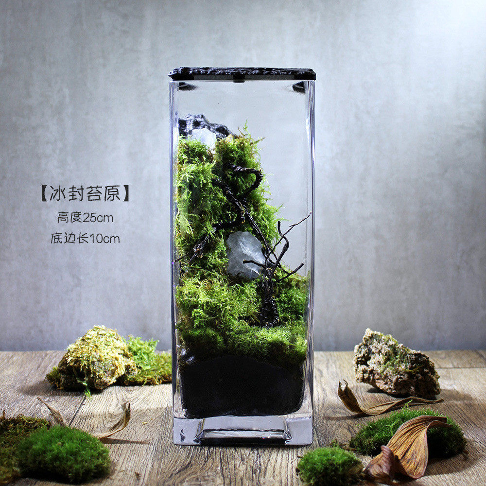 eq4f圈养/萤火送朋友苔藓微景观办公室生态瓶系列礼品生日