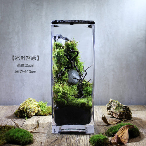 eq4f圈养/萤火送朋友苔藓微景观办公室生态瓶系列礼品生日