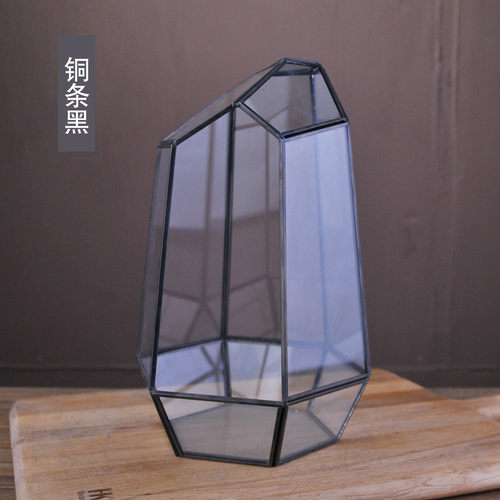 生态瓶玻璃花房微景观苔藓盆罩创意礼品物植物批发六面切割大