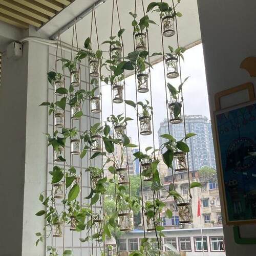 创意壁挂麻绳塑料花瓶水培绿萝植物风铃幼儿园居家背景墙装饰新款