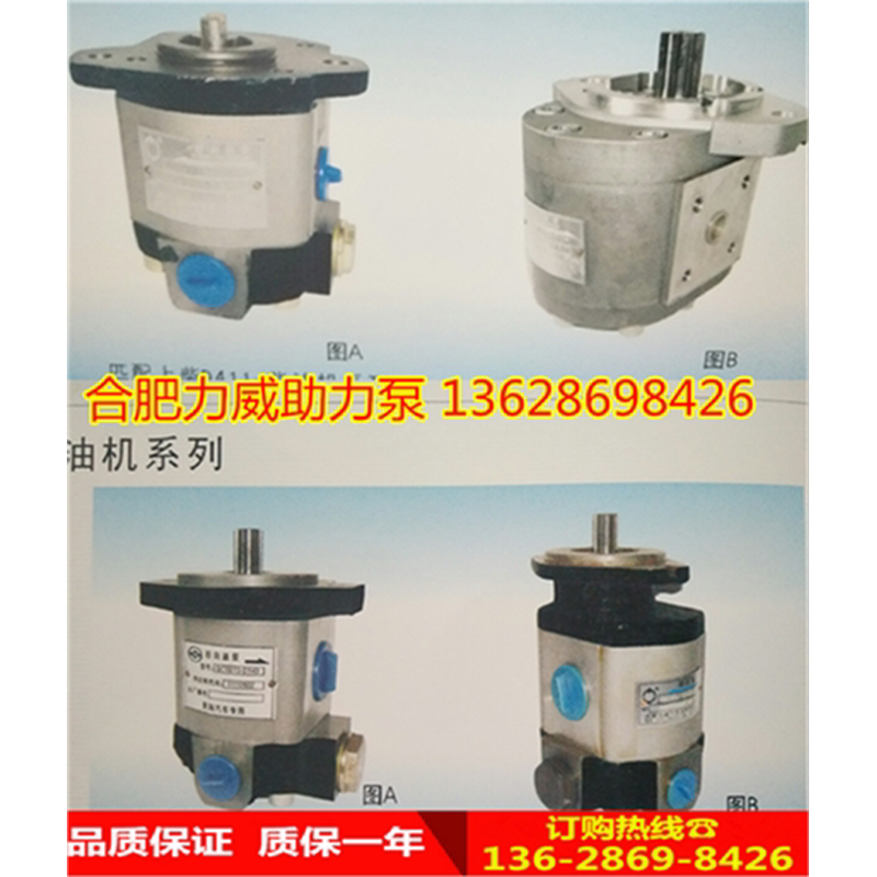 双前桥重卡 助力泵 QC20/15-D14 合肥力威汽车油泵QC20/14-D14,家居饰品,其他工艺饰品,淘宝优惠券,粉丝福利购,淘宝优惠卷