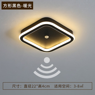 人体感应灯门厅明装过道灯走廊灯入户简约现代灯楼梯间光控吸顶灯