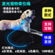 夜间遛狗发光宠物牵引带挣脱防发光牵引绳防绊倒狗狗猫咪防丢项圈