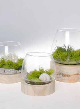 定制微景观植物生态玻璃瓶鱼缸微景观diy生态瓶瓶多肉苔藓瓶