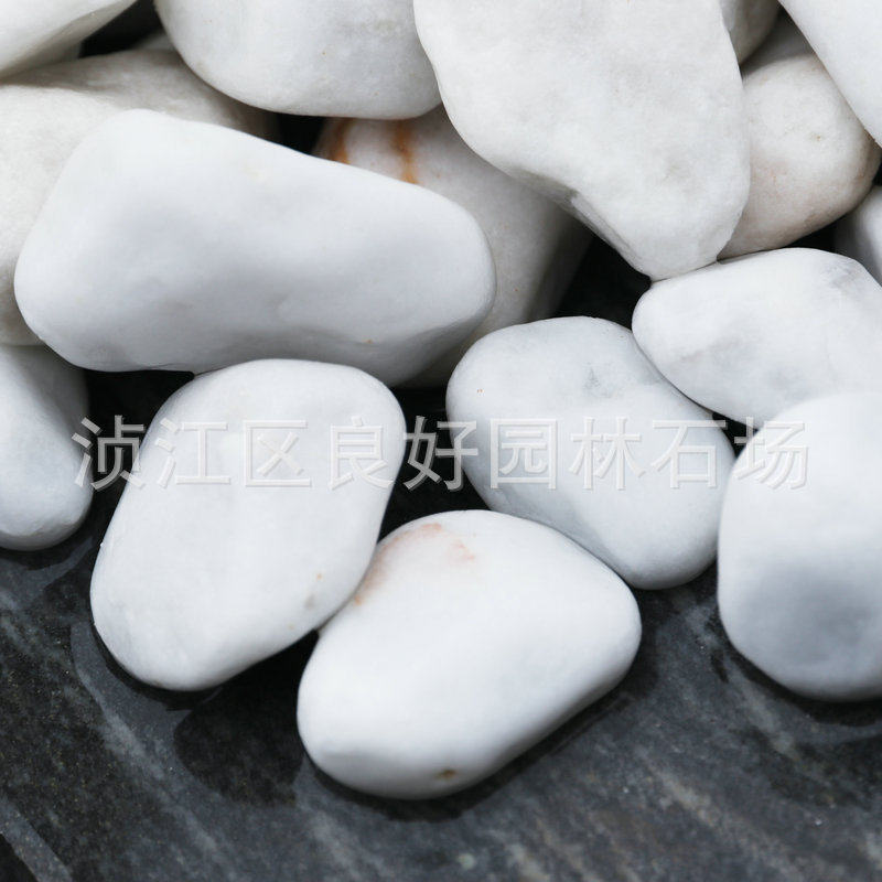 广东厂家批发3-5公分白色鹅软石小雨花石鹅卵石头铺地按摩鹅石暖