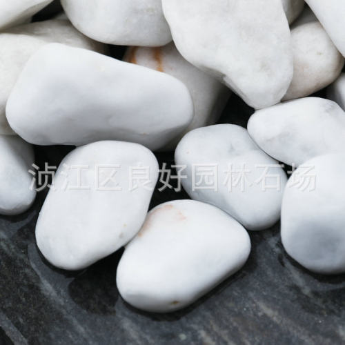 广东厂家批发3-5公分白色鹅软石小雨花石鹅卵石头铺地按摩鹅石暖