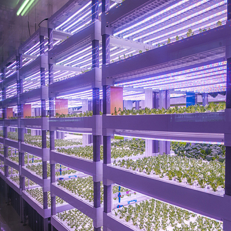 热销无土栽培智慧农业植物工厂物有机蔬菜水培立体种植集装箱设备