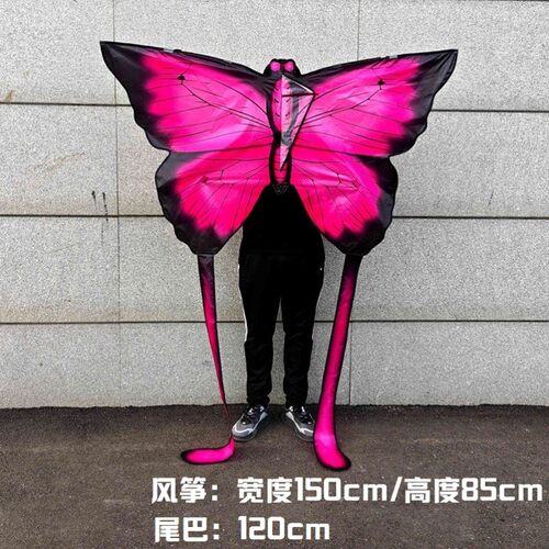 易风筝长尾2024年新款微风蝴蝶飞儿童大人专用超大高档巨型抗大风