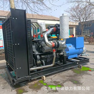 潍柴500kw发电机组发电机组应急工地低油耗200千瓦柴油发电机