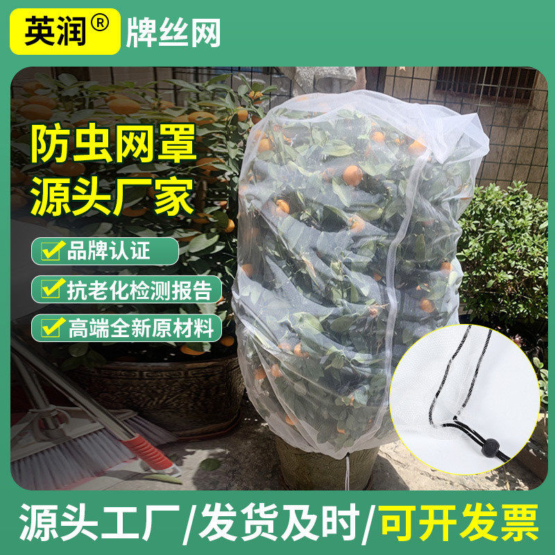 棚防虫网40目1—3米宽温室蔬菜普通防虫网果树养殖蜜蜂蝗虫防虫网