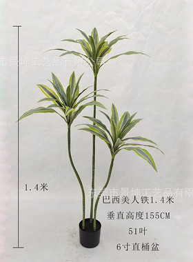 巴西木巴西铁盆栽家居卧室客厅办公室落地摆件装饰室内外造景仿真