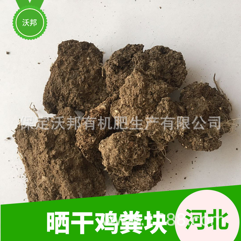 河北厂家人工翻晒纯鸡粪块鸡粪肥水产园艺肥花卉营养基肥干鸡粪块