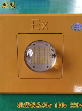 LED隧道台车灯50w100w220v黄色冷仓库照明灯低压交直流36v12v24v