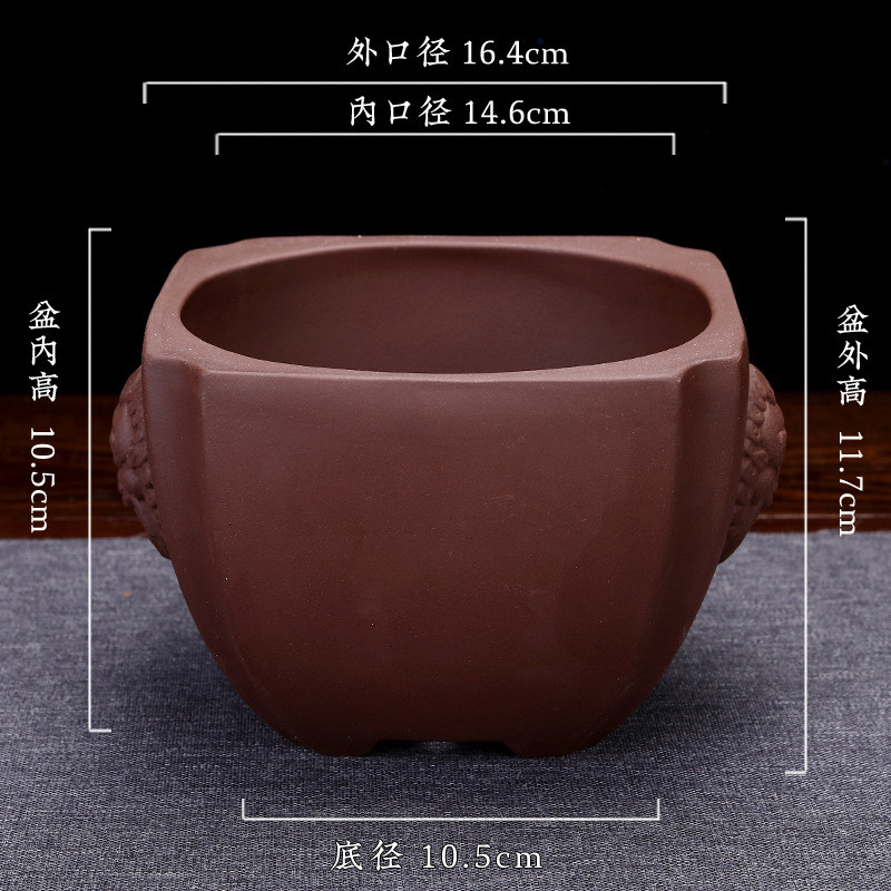 宜兴口紫砂兽头圆精品透气盆景园艺客厅盆栽盆兰花多肉创意陶瓷