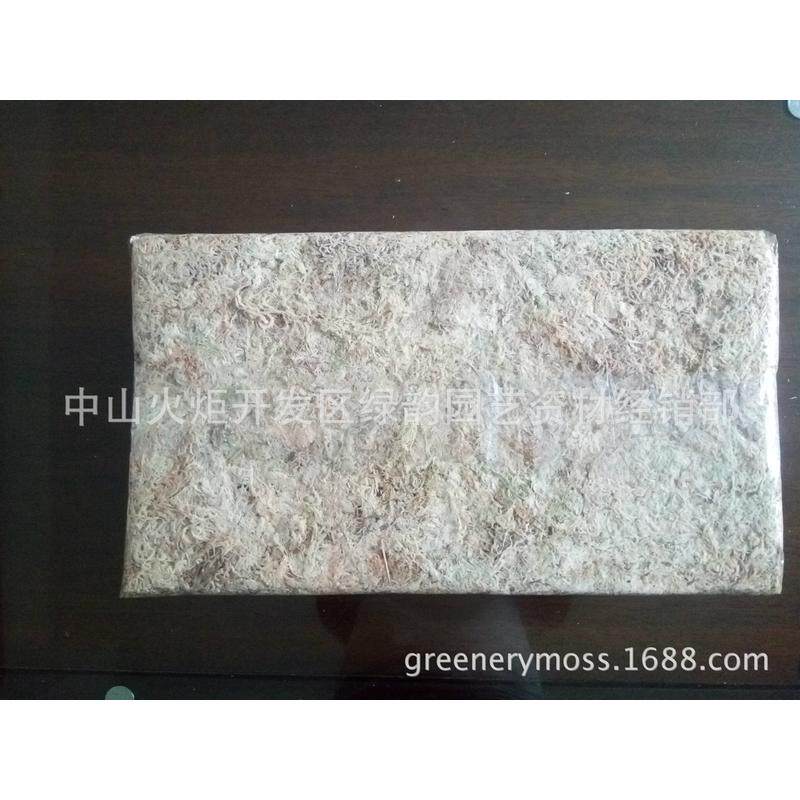 热销1公斤水苔aaaa级石斛爬宠垫材蝴蝶兰sphagnummoss多肉植物爬
