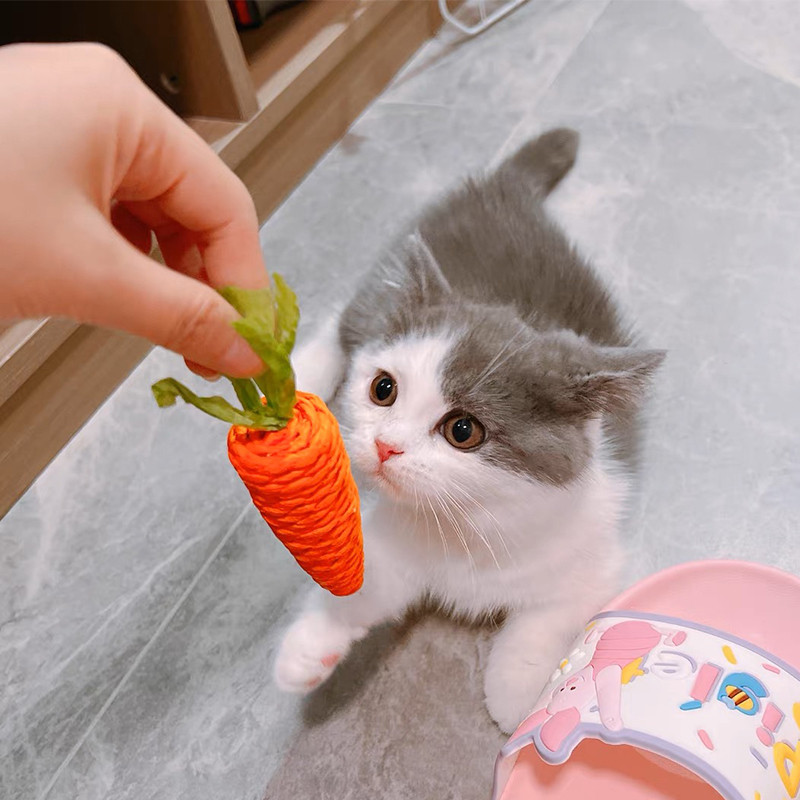 猫玩具可爱胡萝卜铃铛逗猫棒幼猫自嗨解闷耐咬磨牙磨爪猫之满