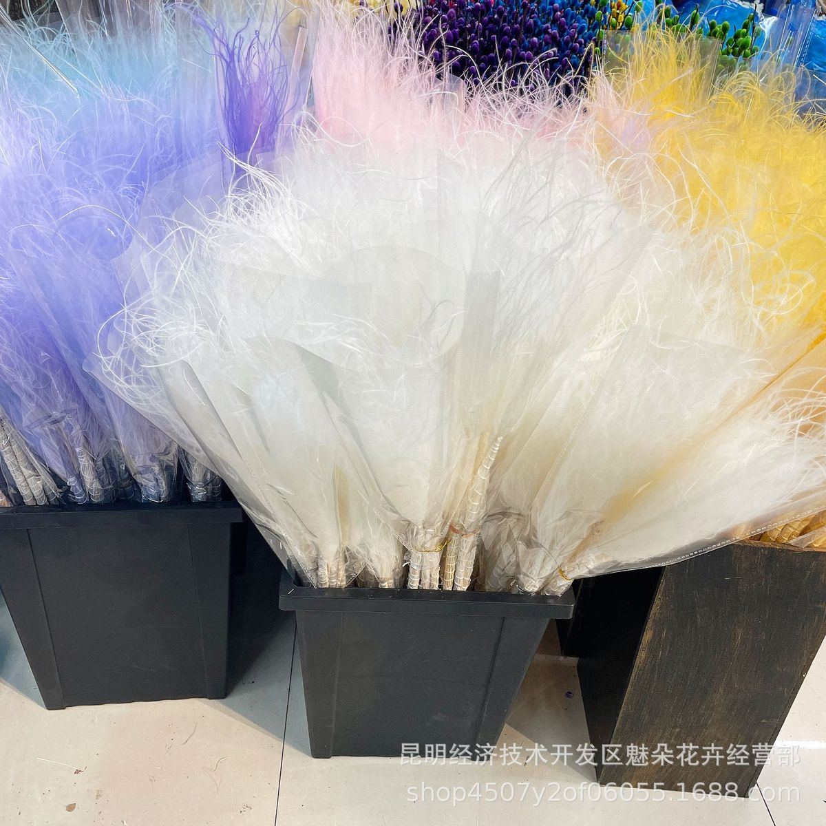 羽百搭长杆仙气毛草家居装饰拍摄道具针茅干花多色批发