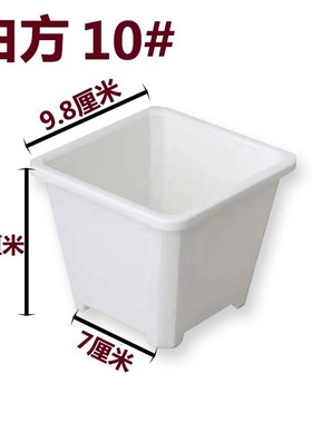 电商盆黑方白方多肉育苗盆基地花盆加厚景天黑色白色方盆批发