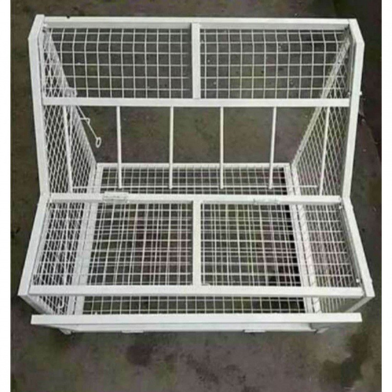 信鸽跳笼鸽子赛鸽舍鸽棚鸽用具只进不出拼装鸽舍放飞门一件批发
